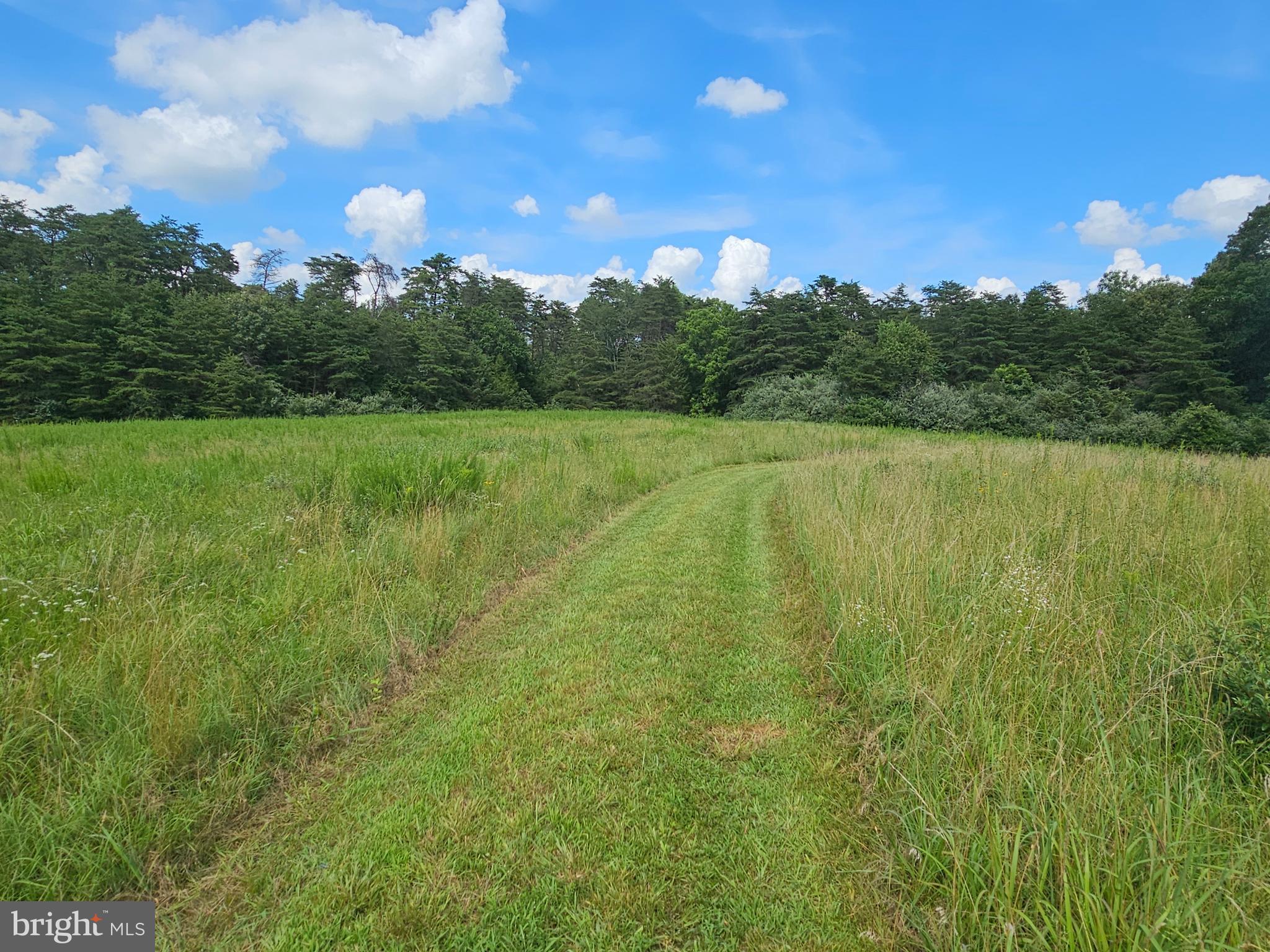 11145 Brent Town Road Catlett, VA 20119 - Photo 39 of 56 going into field from outbuildings