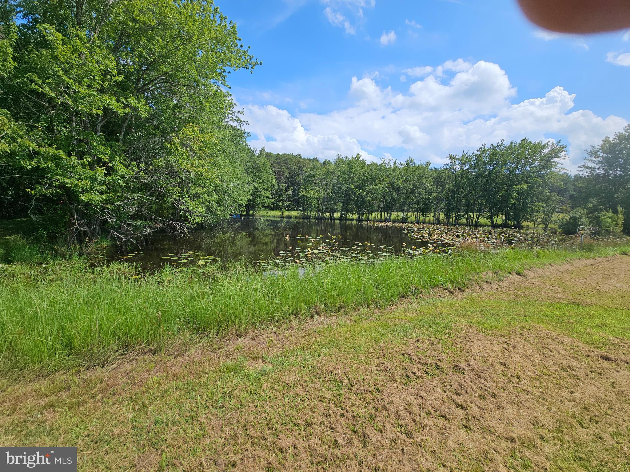 11145 Brent Town Road Catlett, VA 20119 - Photo 42 of 56 Pond View