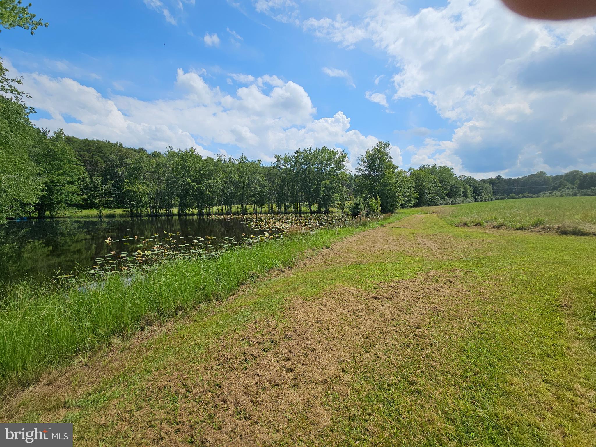 11145 Brent Town Road Catlett, VA 20119 - Photo 43 of 56 Pond View