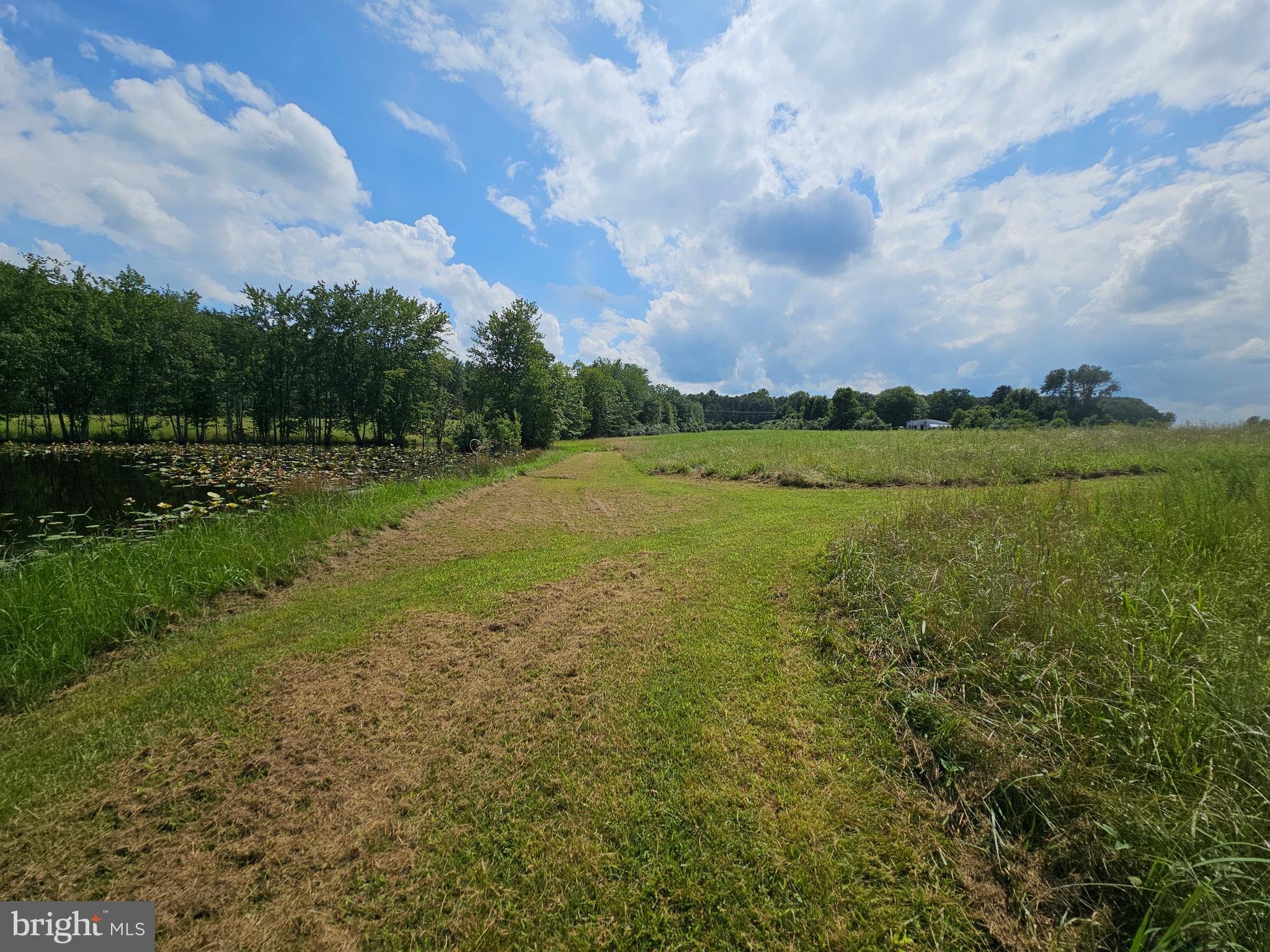 11145 Brent Town Road Catlett, VA 20119 - Photo 44 of 56 Pond View