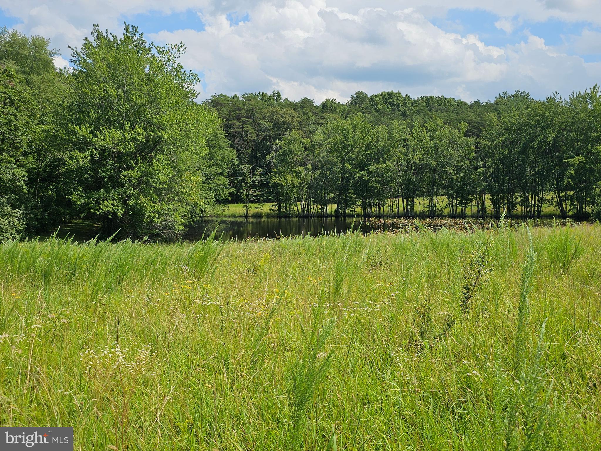11145 Brent Town Road Catlett, VA 20119 - Photo 45 of 56 Pond View