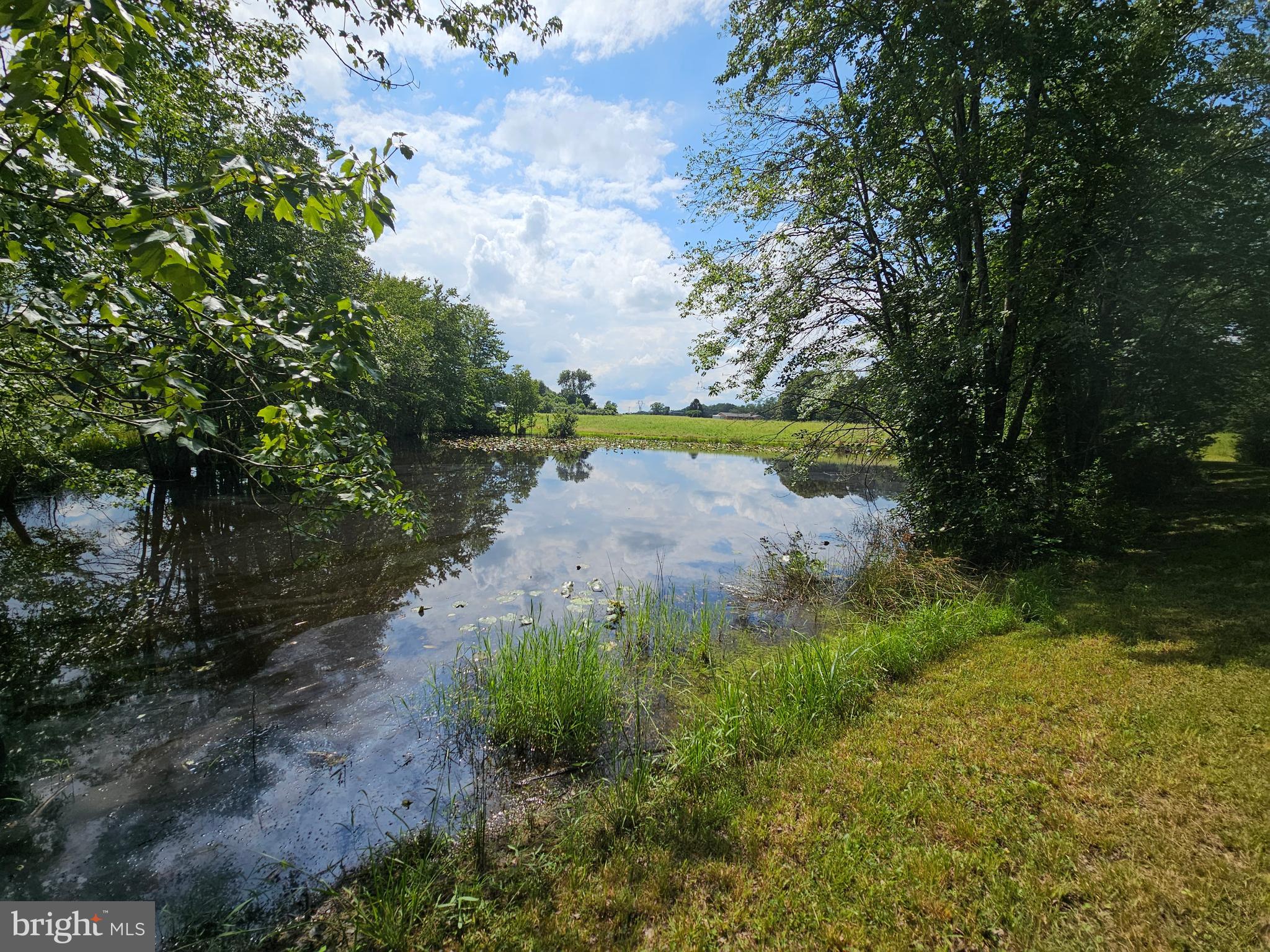 11145 Brent Town Road Catlett, VA 20119 - Photo 46 of 56 Pond View