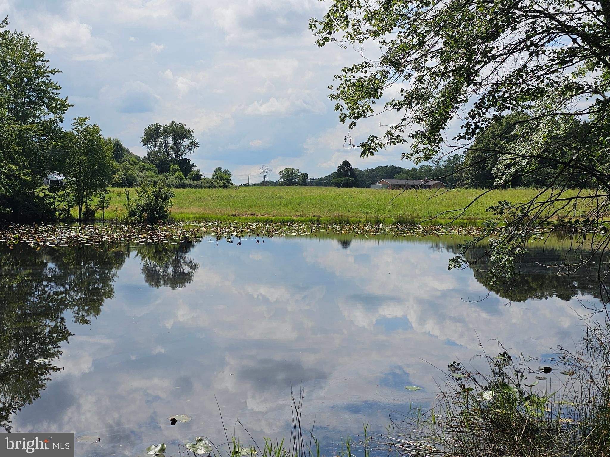 11145 Brent Town Road Catlett, VA 20119 - Photo 47 of 56 Pond View