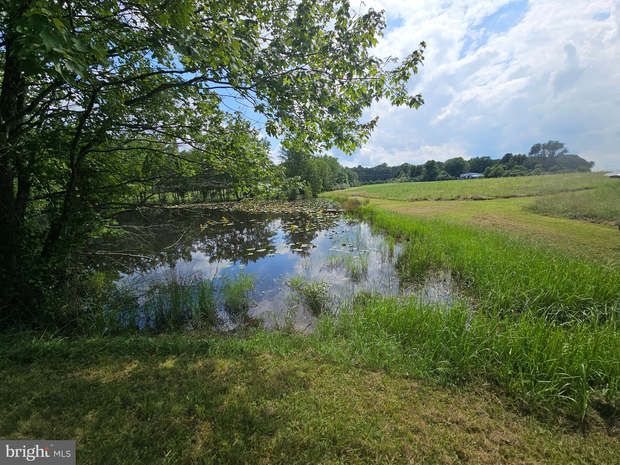 11145 Brent Town Road Catlett, VA 20119 - Photo 48 of 56 Pond View