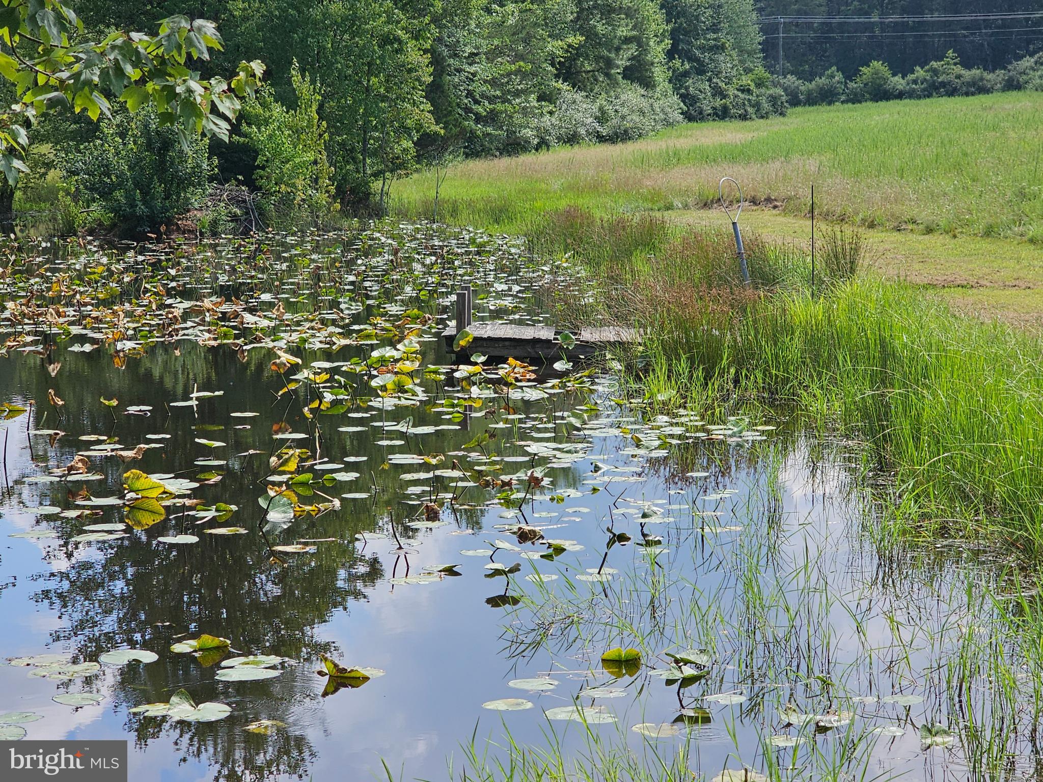 11145 Brent Town Road Catlett, VA 20119 - Photo 49 of 56 Pond View