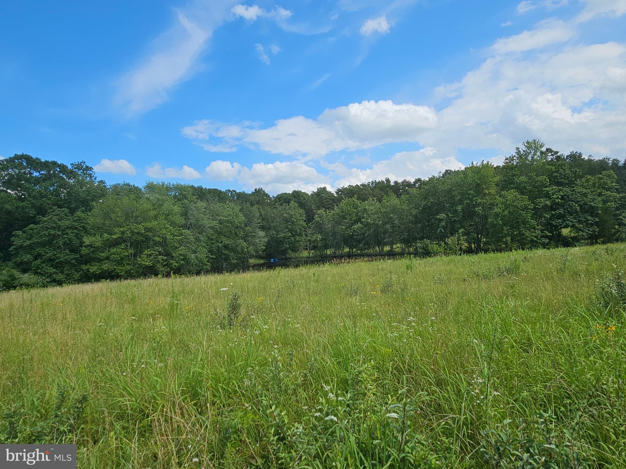 11145 Brent Town Road Catlett, VA 20119 - Photo 52 of 56