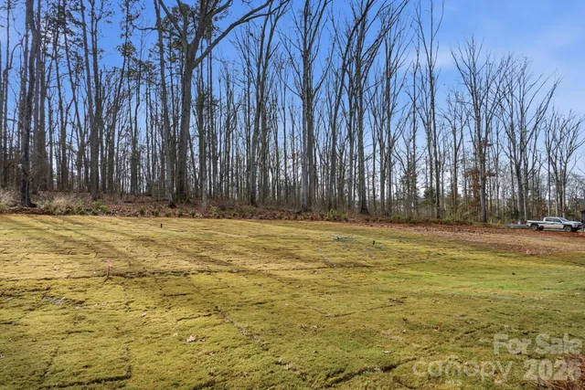 a view of swimming pool with large trees