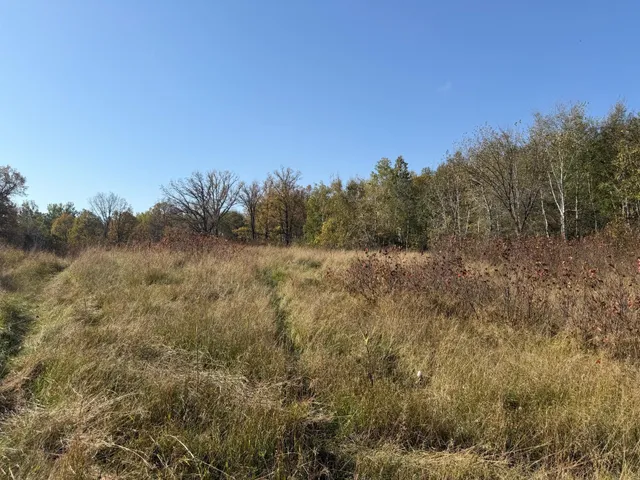$425,000 | Tbd Tbd 139.56ac 360th Avenue, Frazee, MN 56544