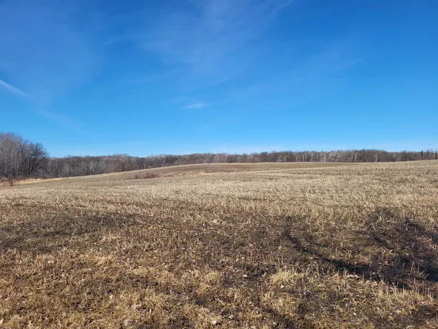 $425,000 | Tbd Tbd 139.56ac 360th Avenue, Frazee, MN 56544