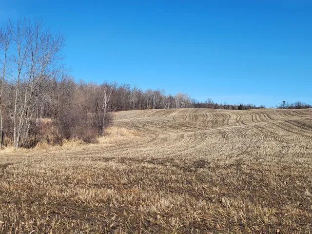 $425,000 | Tbd Tbd 139.56ac 360th Avenue, Frazee, MN 56544