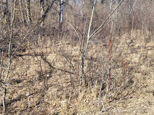 $425,000 | Tbd Tbd 139.56ac 360th Avenue, Frazee, MN 56544