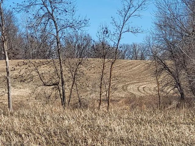 $425,000 | Tbd Tbd 139.56ac 360th Avenue, Frazee, MN 56544