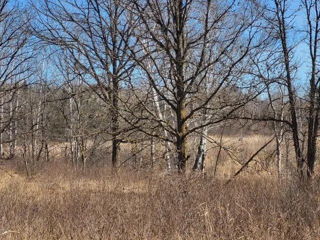 $425,000 | Tbd Tbd 139.56ac 360th Avenue, Frazee, MN 56544