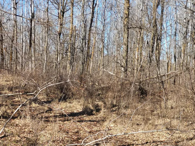 $425,000 | Tbd Tbd 139.56ac 360th Avenue, Frazee, MN 56544