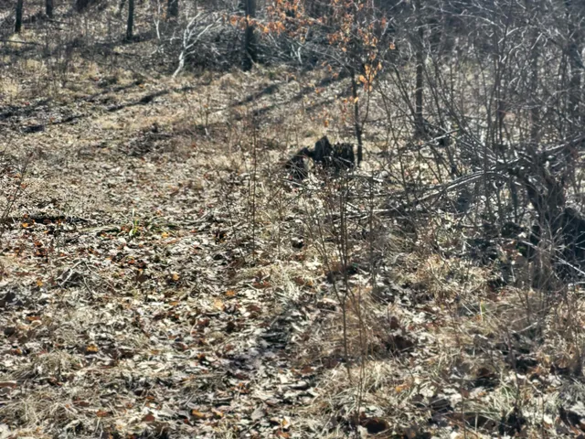 $425,000 | Tbd Tbd 139.56ac 360th Avenue, Frazee, MN 56544