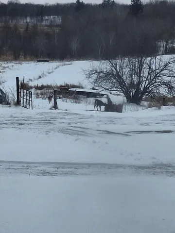 $425,000 | Tbd Tbd 139.56ac 360th Avenue, Frazee, MN 56544