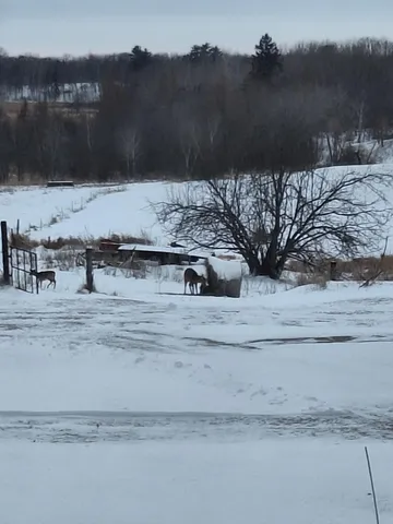 $425,000 | Tbd Tbd 139.56ac 360th Avenue, Frazee, MN 56544