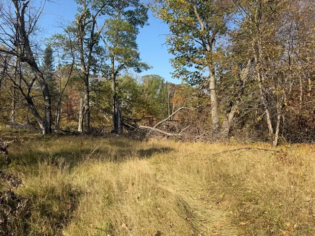 $425,000 | Tbd Tbd 139.56ac 360th Avenue, Frazee, MN 56544