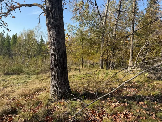 $425,000 | Tbd Tbd 139.56ac 360th Avenue, Frazee, MN 56544