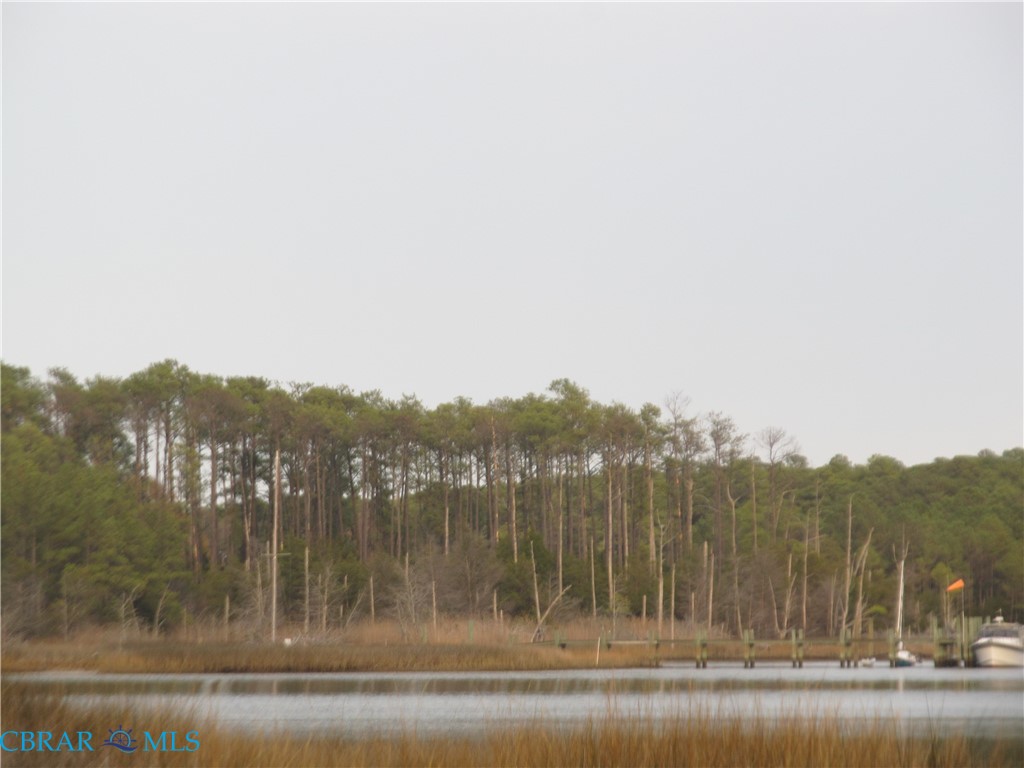 Lot 20 Horse Road Hayes, VA 23072 - Photo 8 of 18