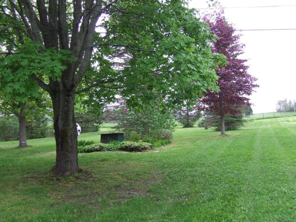 141 Dennison Road Richfield, NY 13439 - Photo 17 of 26