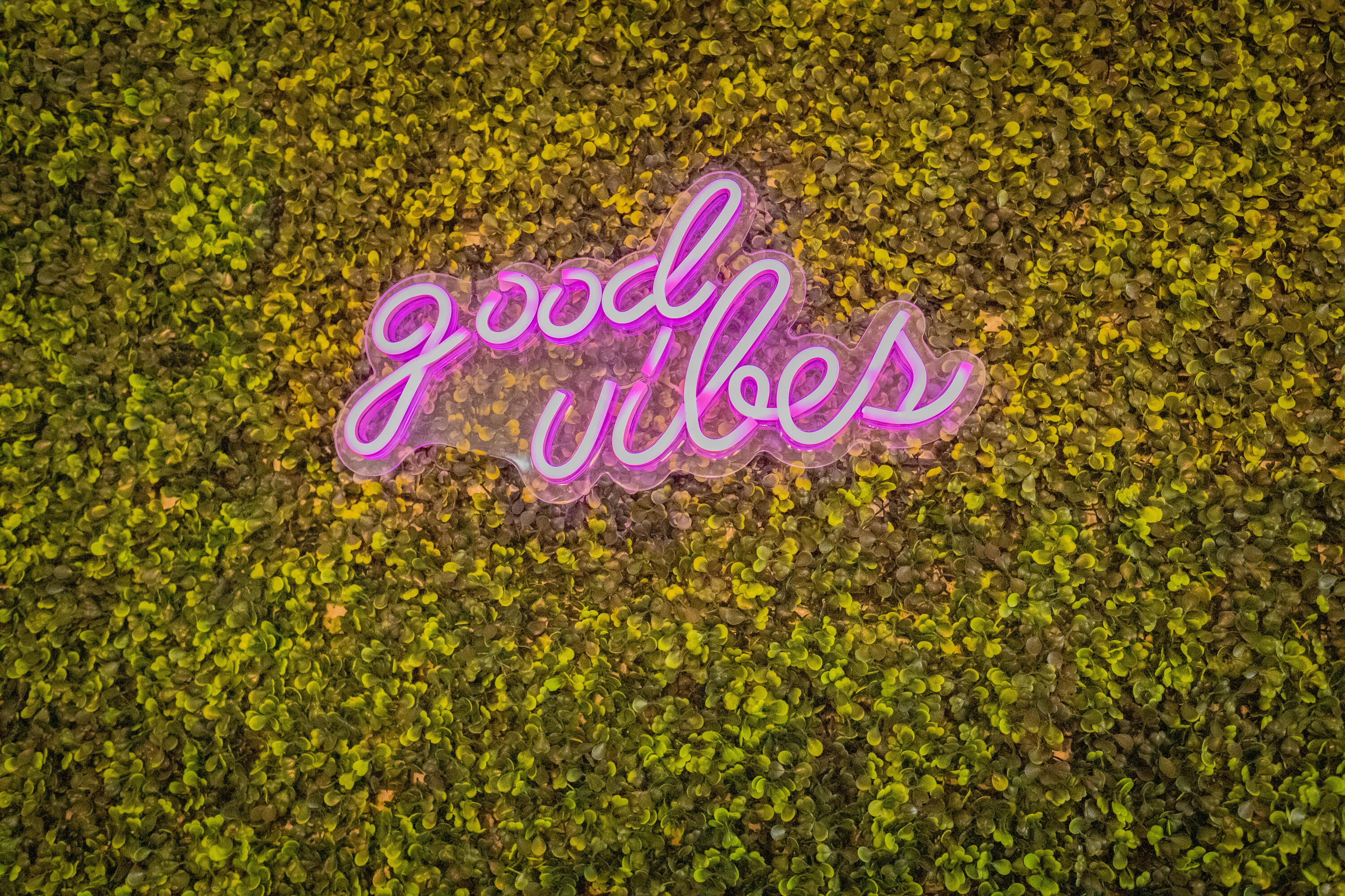 83347 Mango Walk Indio, CA 92201 - Photo 23 of 49 a sign that is sitting in front of a tree