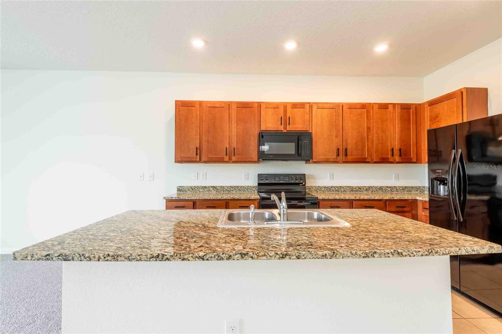 1821 Hovenweep Road Wesley Chapel, FL 33543 - Photo 9 of 47