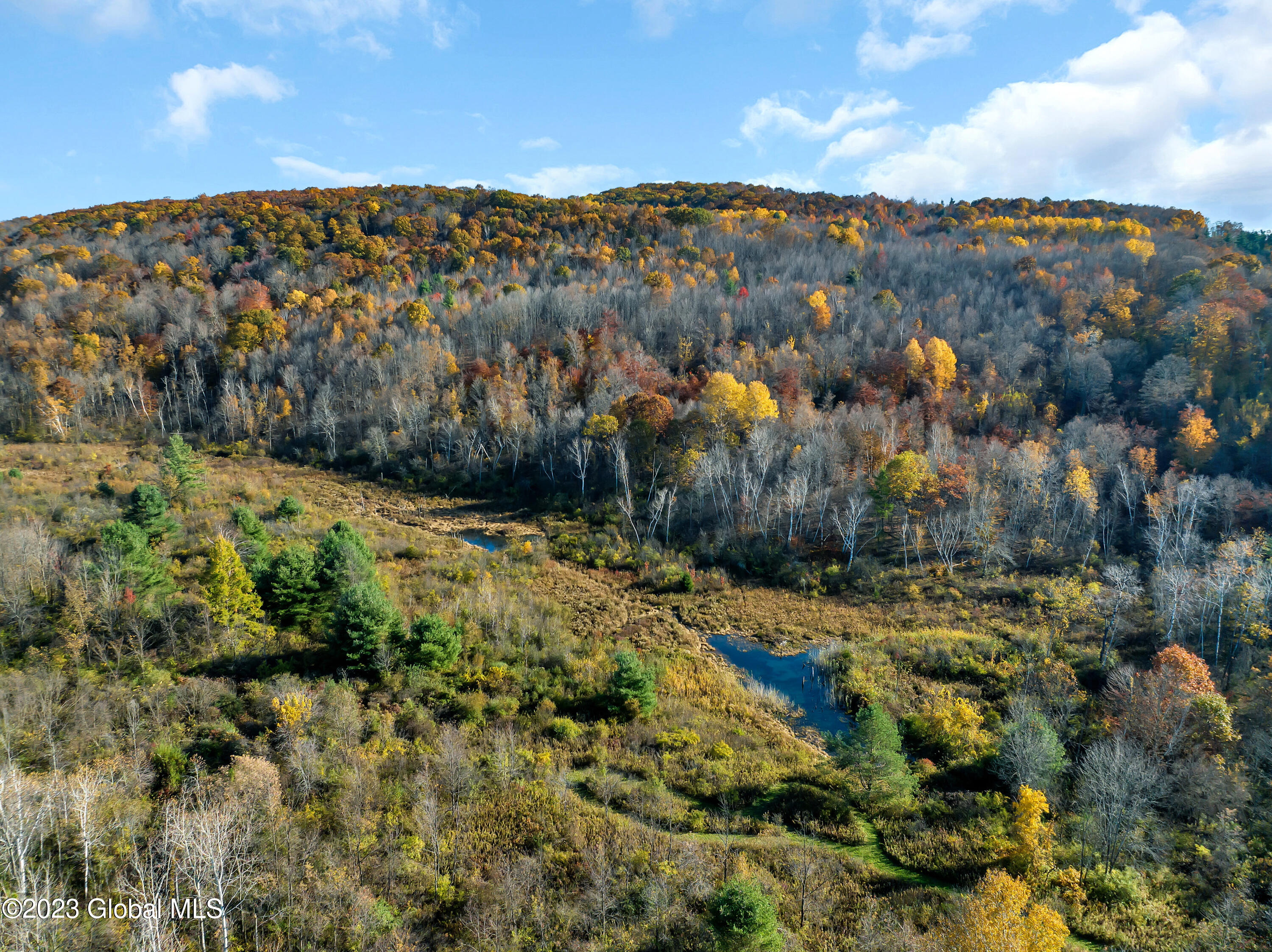 L2 Farmers Inn Road Hoosick Falls, NY 12090 - Photo 3 of 6 DJI_0708