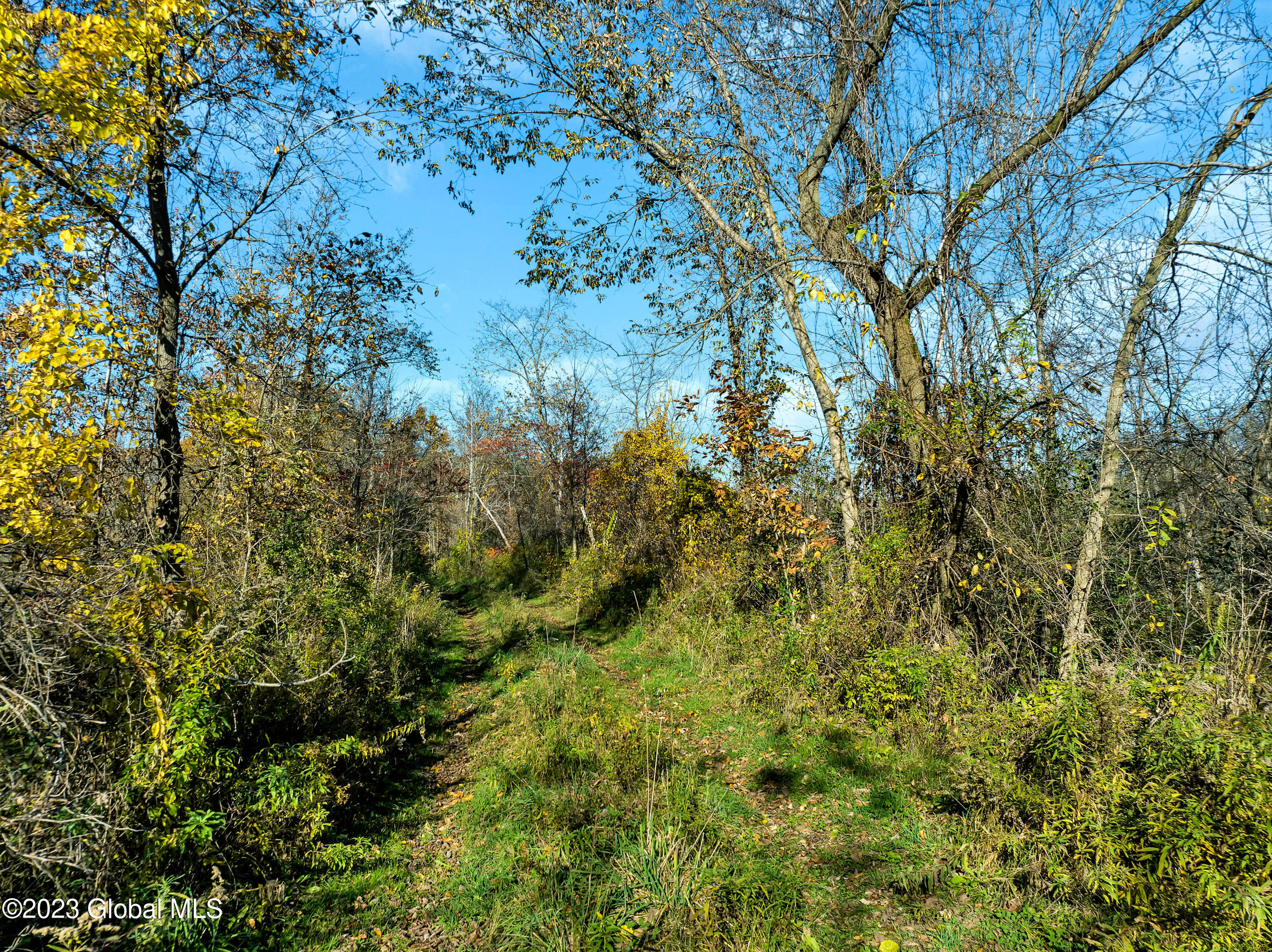 L2 Farmers Inn Road Hoosick Falls, NY 12090 - Photo 4 of 6 DJI_0718