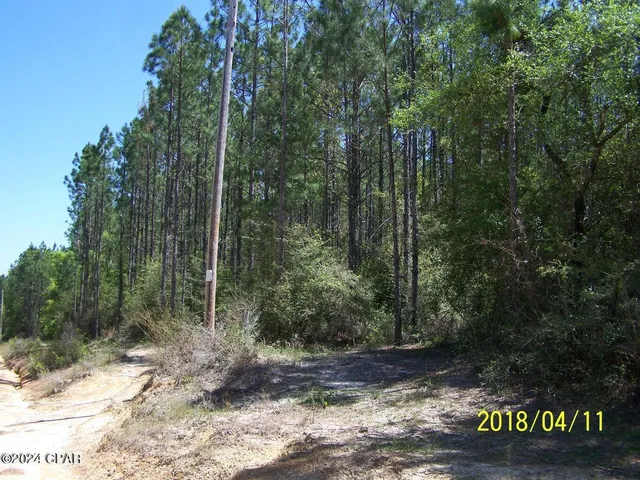 $22,000 | 0 Noland Pond Road, Alford, FL 32420