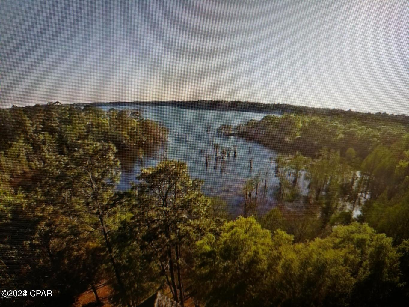 0 Noland Pond Road Alford, FL 32420 - Photo 4 of 8