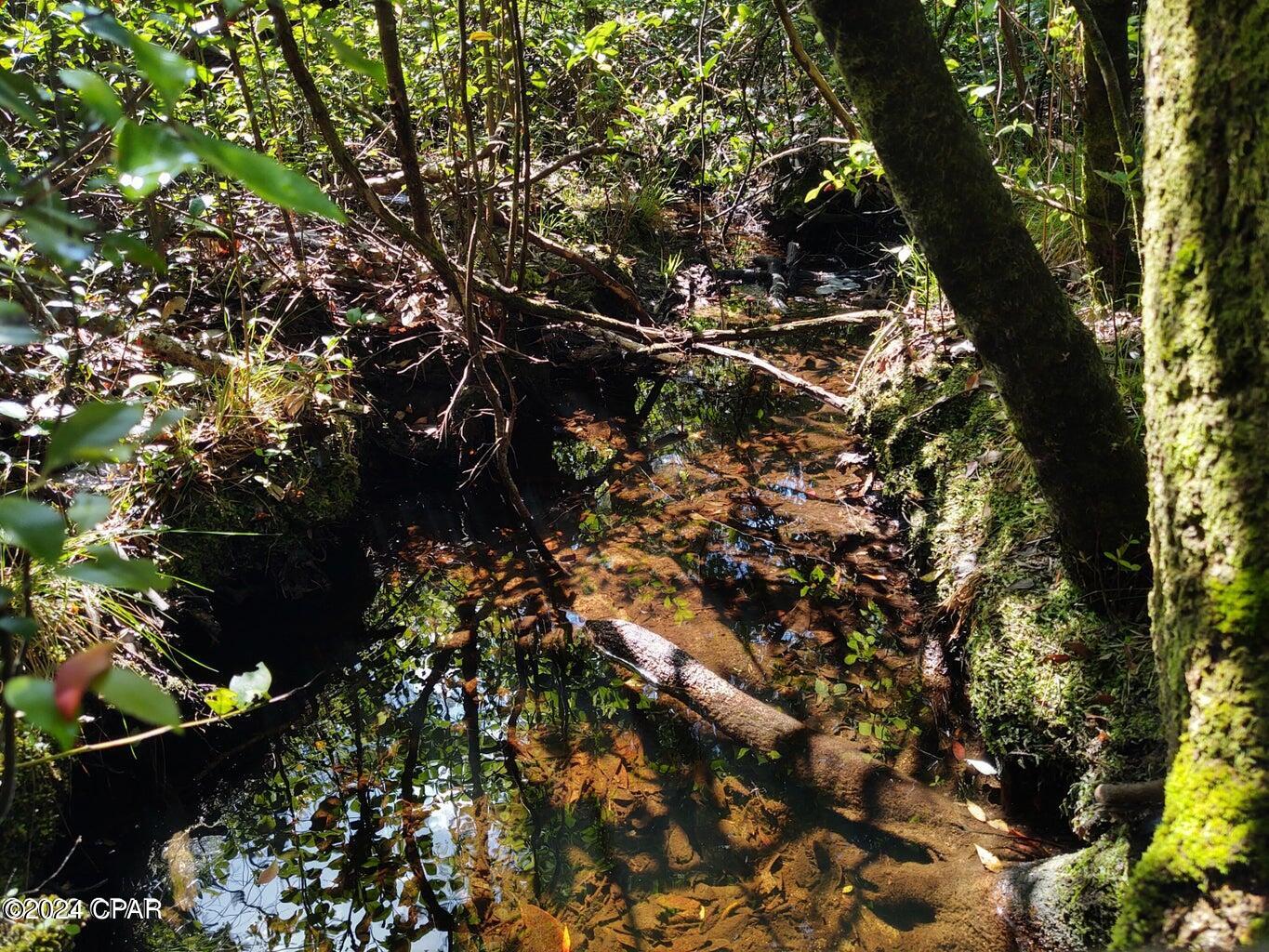 0 Noland Pond Road Alford, FL 32420 - Photo 7 of 8