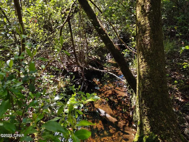 $22,000 | 0 Noland Pond Road, Alford, FL 32420
