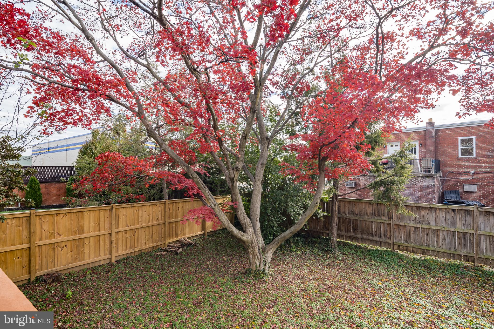4818 22nd Road North Arlington, VA 22207 - Photo 5 of 40