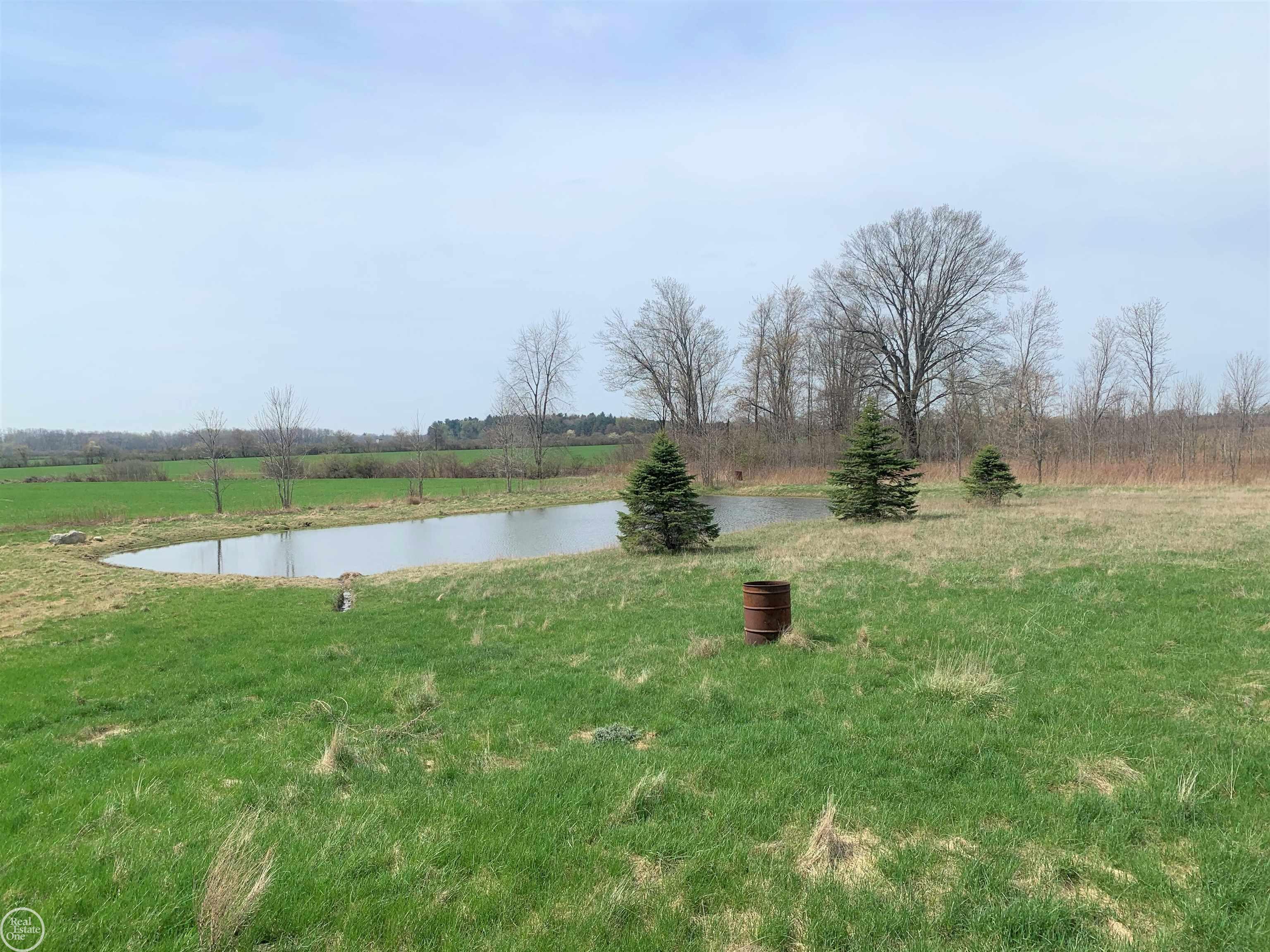 3770 Wagner Road Croswell, MI 48422 - Photo 41 of 44