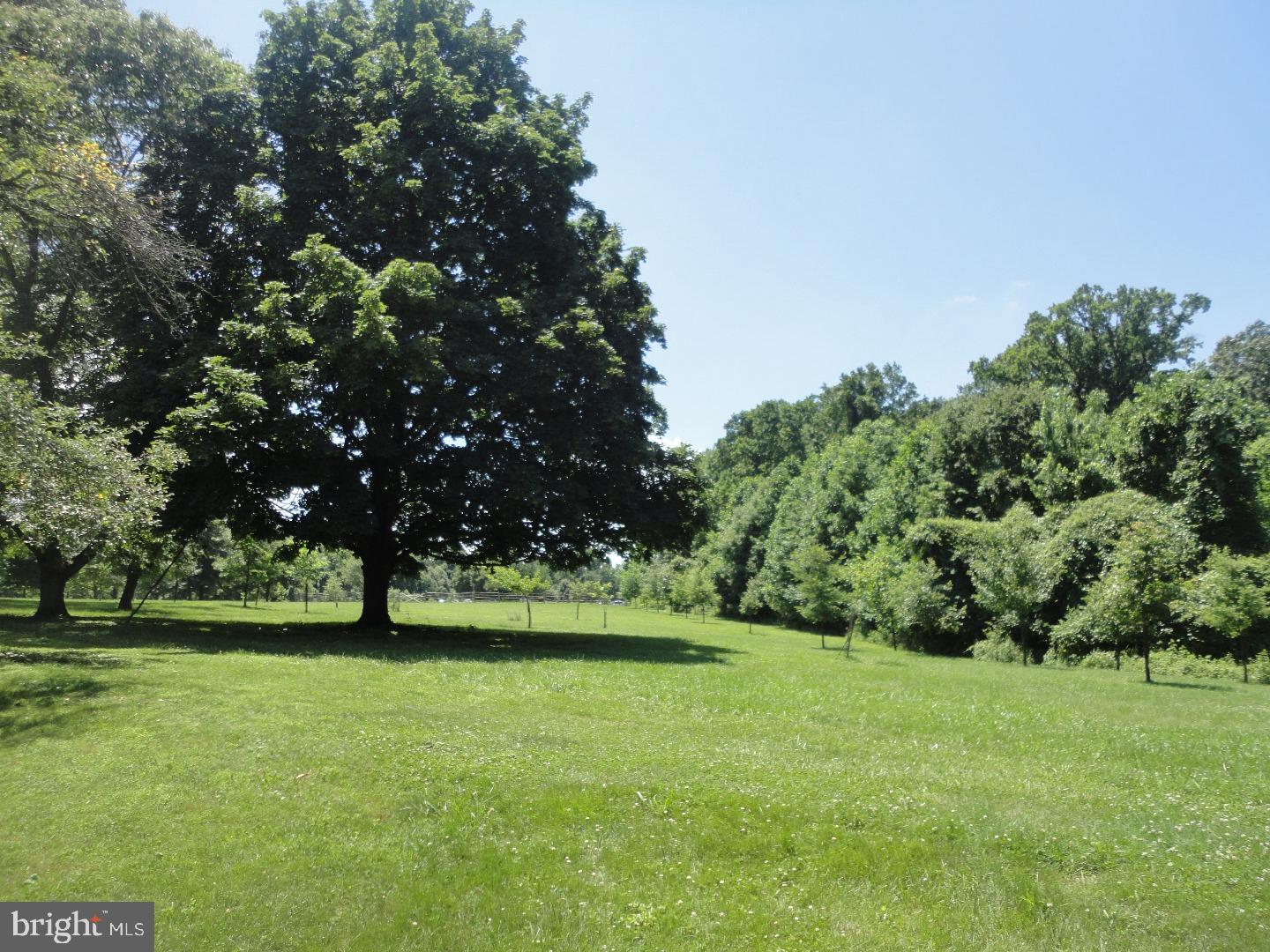 8830 Rising Sun Avenue Philadelphia, PA 19115 - Photo 2 of 25 Back Yard