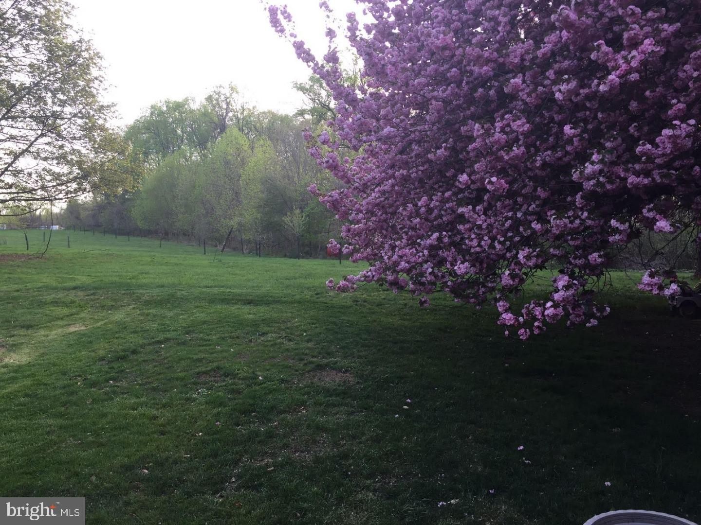 8830 Rising Sun Avenue Philadelphia, PA 19115 - Photo 25 of 25 Back Yard