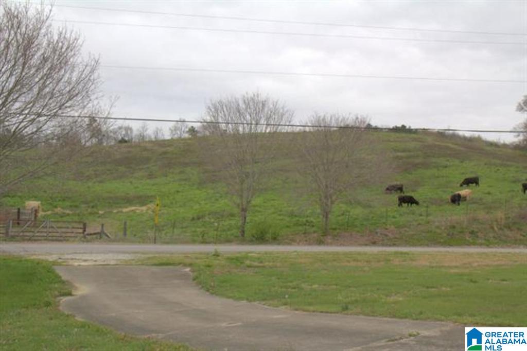3054 Greensport Road, Unit 141 ACRES Ashville, AL 35953 - Photo 11 of 23