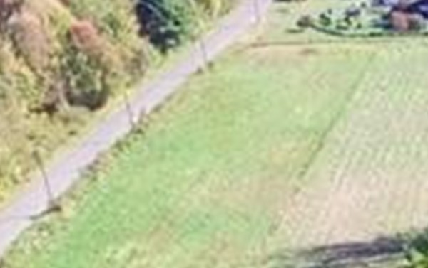 Lot 1 Pulpit Hill Road Amherst, MA 01002 - Photo 1 of 2 a view of a yard with a tree