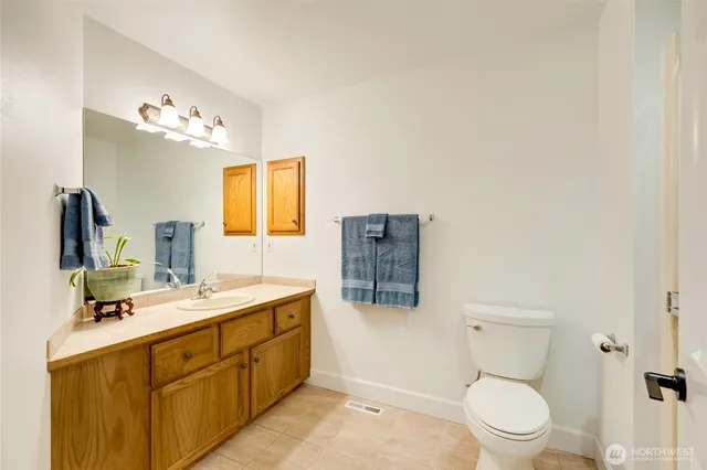 a view of a garden with plants