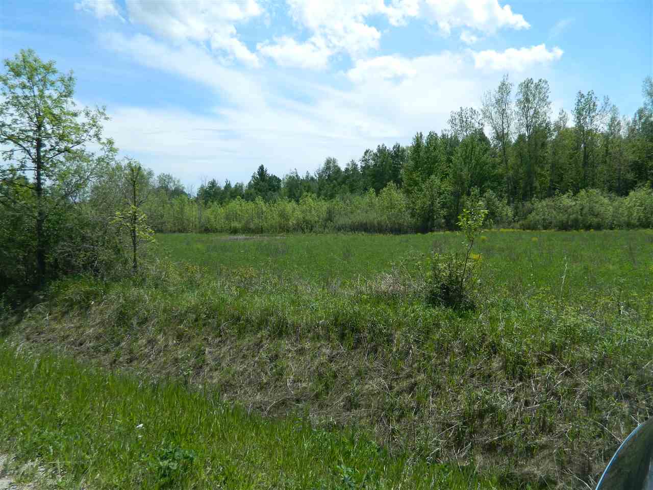 0 West Mt Forest Road Pinconning, MI 48650 - Photo 3 of 11