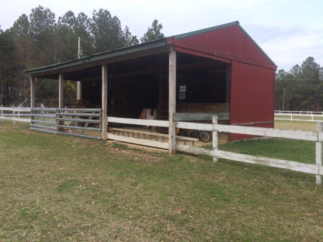 1346 Dairy Road Ridge Spring, SC 29129 - Photo 20 of 25