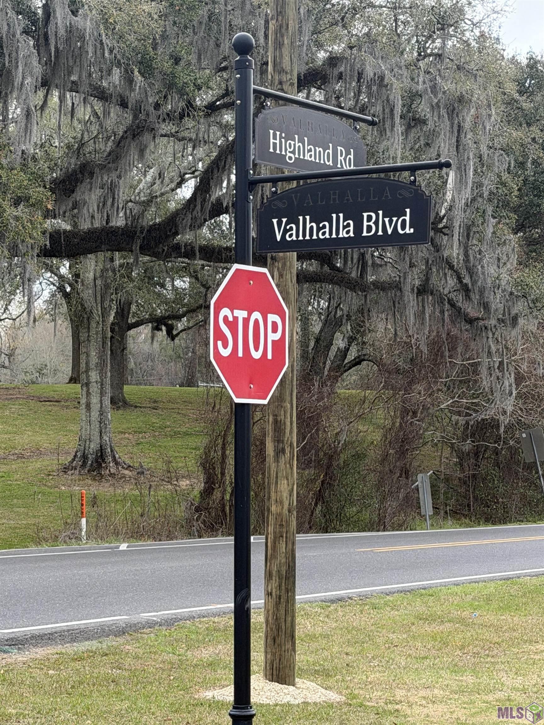 121 Valhalla Boulevard St. George, LA 70810 - Photo 1 of 4