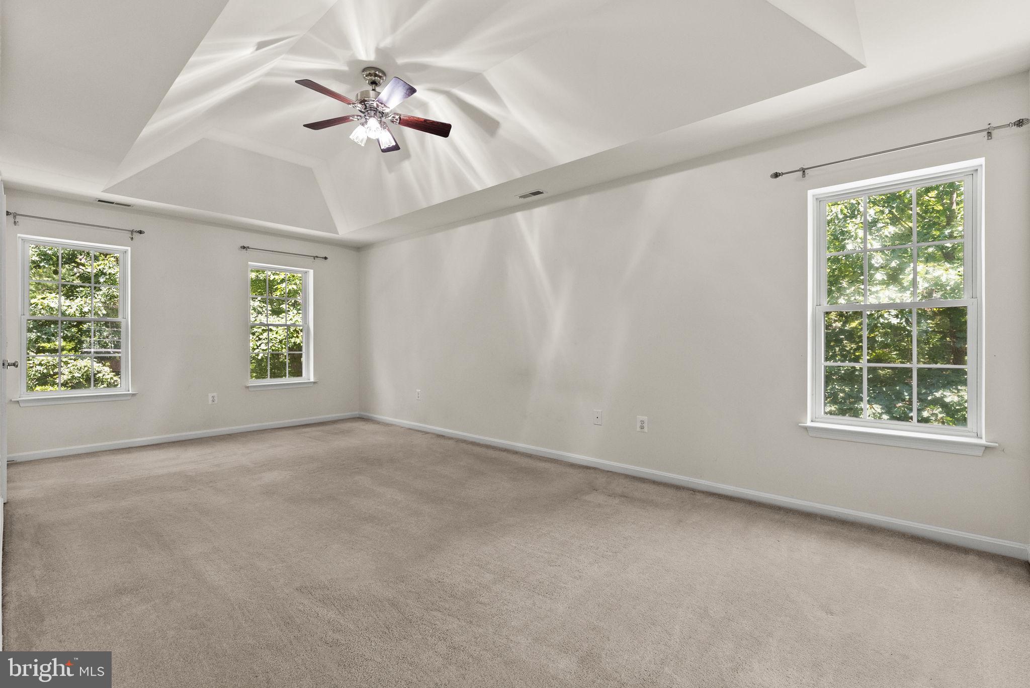 10275 Mountain Run Lake Road Culpeper, VA 22701 - Photo 49 of 89