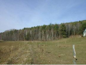50 A Browns Trace Road Jericho, VT 05465 - Photo 1 of 1 Gallery Image 1