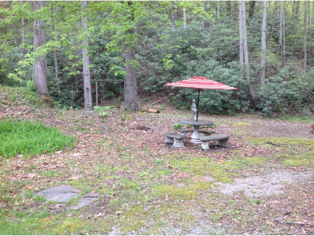 129 Helton Road Hampton, TN 37658 - Photo 4 of 24 Park Like Settings