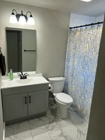 a bathroom with a sink toilet and mirror