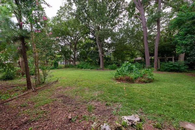 a view of a backyard with large trees