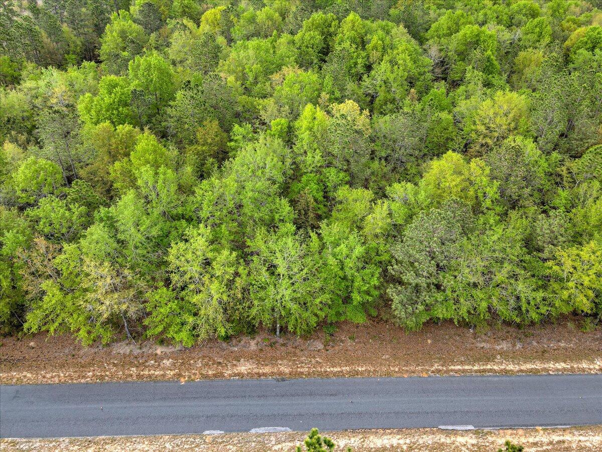 0 Millers Pond Road, Unit LOT 2 Salley, SC 29137 - Photo 6 of 13