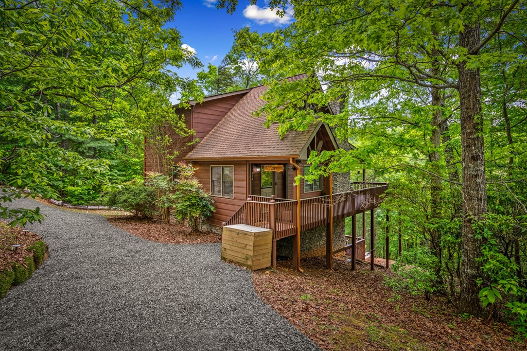458 Sugar Mountain Road Blue Ridge, GA 30513 - Photo 2 of 65